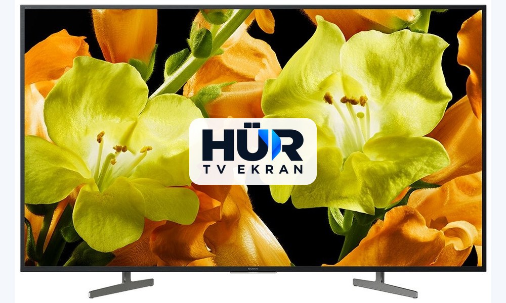 Sony KD-49XG8196