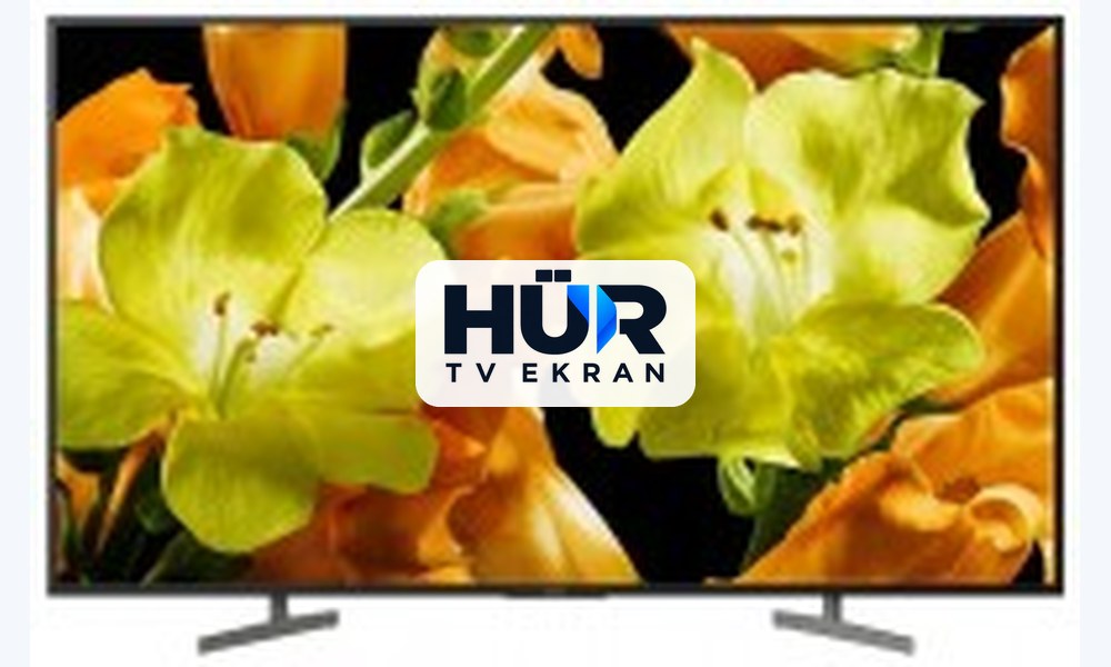 Sony KD-65XG8196